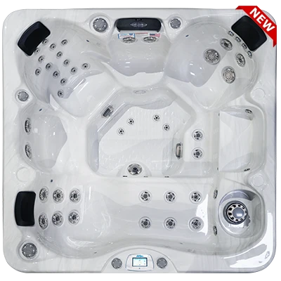 Avalon-X EC-849LX hot tubs for sale in Kingsport